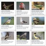 Screenshot 2026-02-04 at 5.00.09 PM